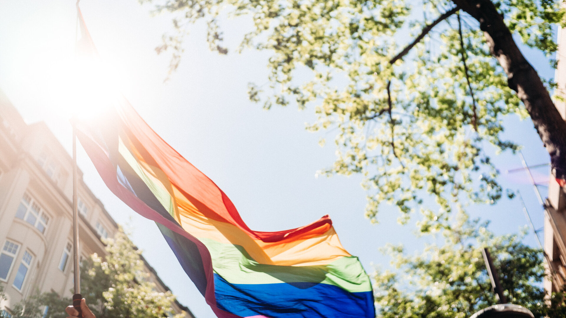 Eine Regenbogenflagge weht im Sonnenlicht zwischen Bäumen.